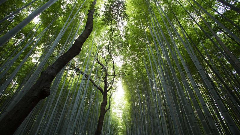 大满贯pg平台资讯中心全景展示